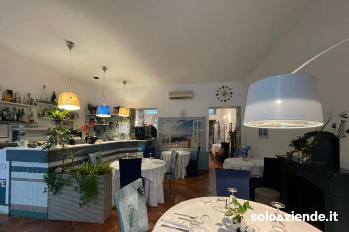 Vendita Ristoranti RISTORANTE OTTIMO AVVIAMENTO A 5 MINUTI DAL CENTRO a Torino (TO)